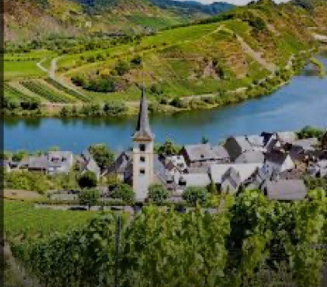 Ferienwohnung Eifel Mosel Hunsrueck Bergweiler ภายนอก รูปภาพ